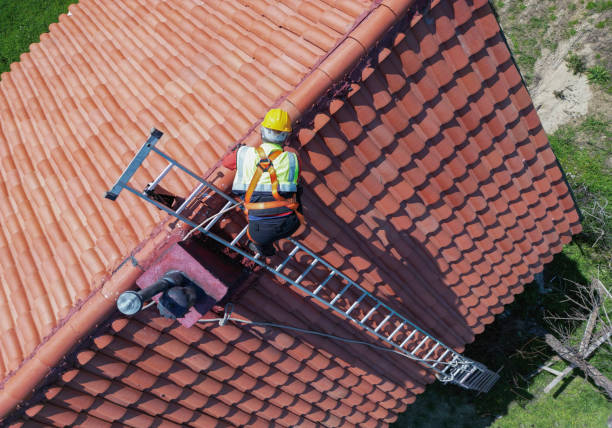 Best Roof Moss and Algae Removal  in View Park Windsor Hills, CA